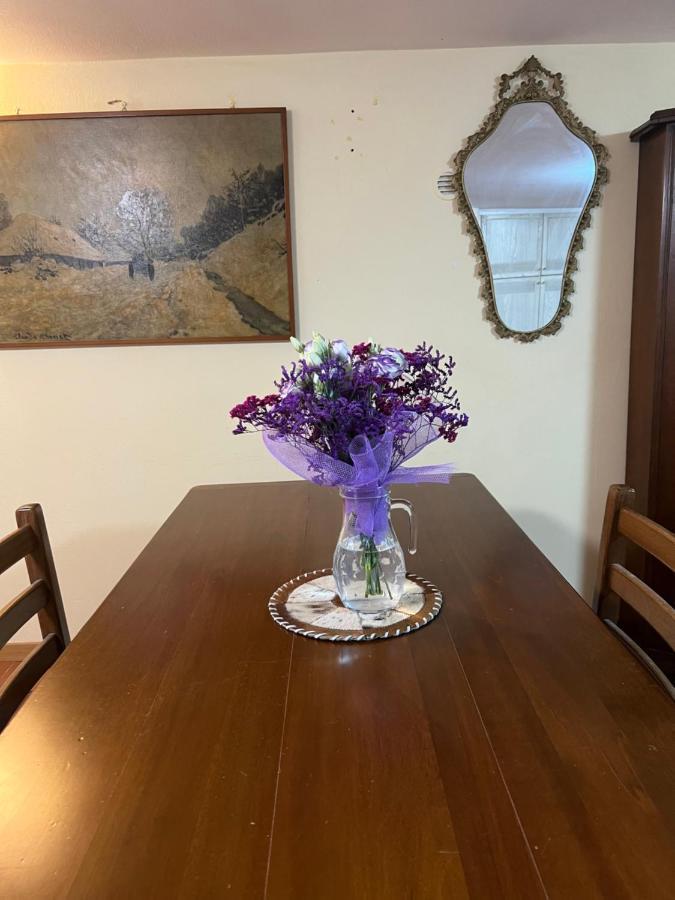 Cozy House Giulia, Wi - Fi , Parking Apartment ราเวนนา ภายนอก รูปภาพ